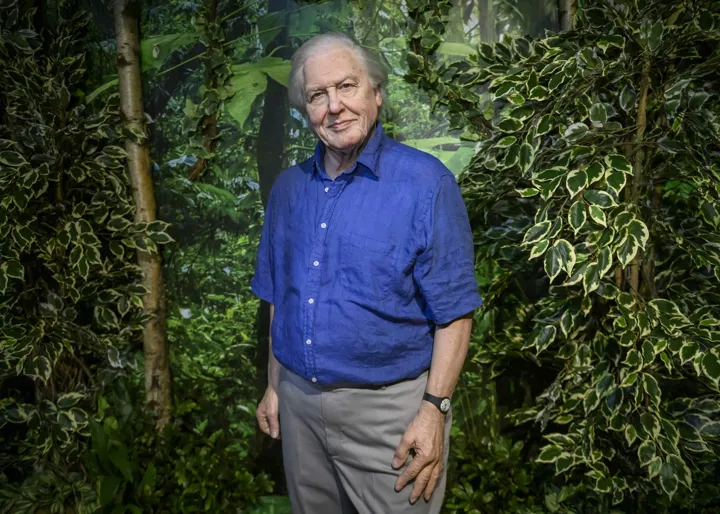 Ad Mt Attenborough 004