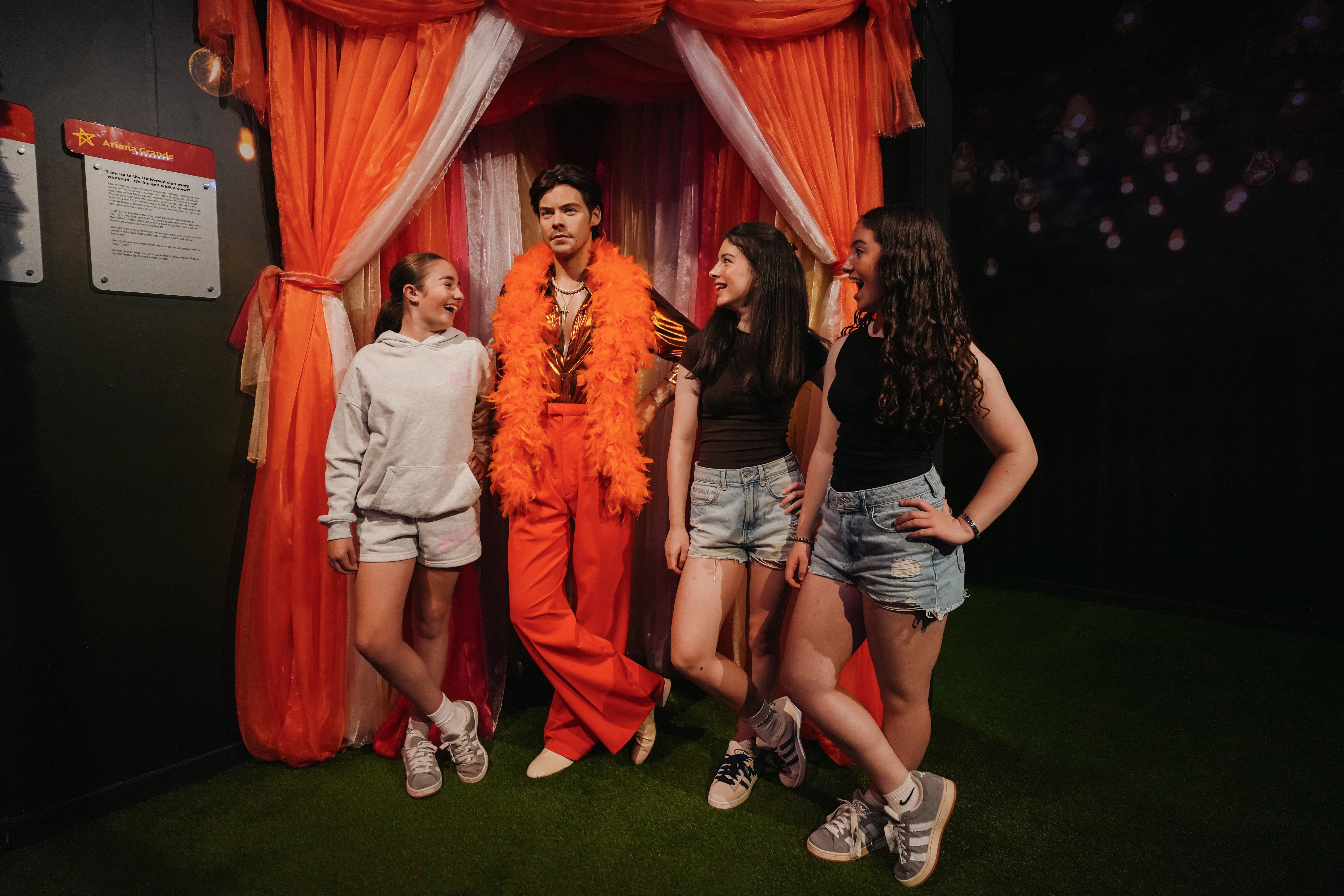 Festival Fields Header